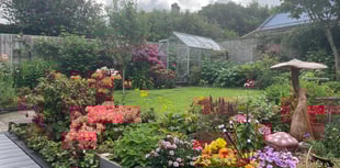 Blooming good efforts at annual garden competition