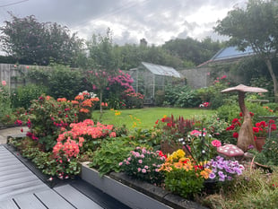 Blooming good efforts at annual garden competition