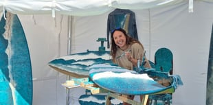 Ocean-infused surfboard artwork auctioned for charity