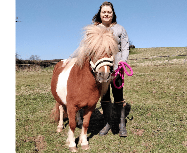 Shetland pony finds loving new home after shocking court case