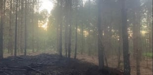 Wildfire risk in Cardinham Woods