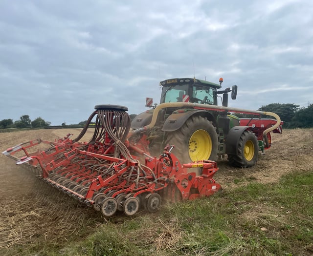 Farmers urged to cultivate and sow winter crops now 