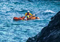 Lizard RNLI crew rescue dog at Kynance Cove