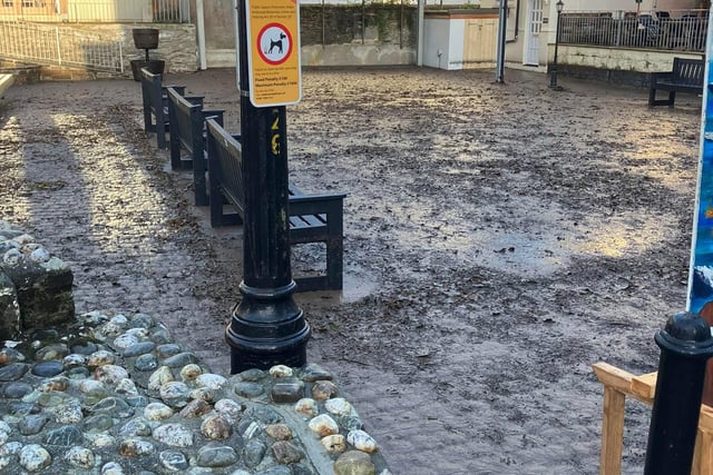 Businesses begin mass clear-up after overnight flooding
