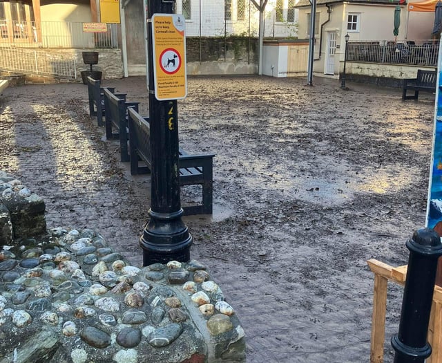 Businesses begin mass clear-up after overnight flooding