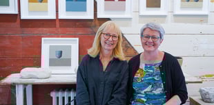 Cornish arts festival calling on creatives to join next year's event