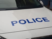 Masked men stole pizza from delivery driver in knifepoint robbery