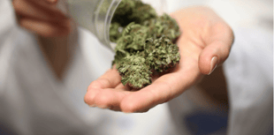 Truro ranks third in the UK for medical cannabis patients 