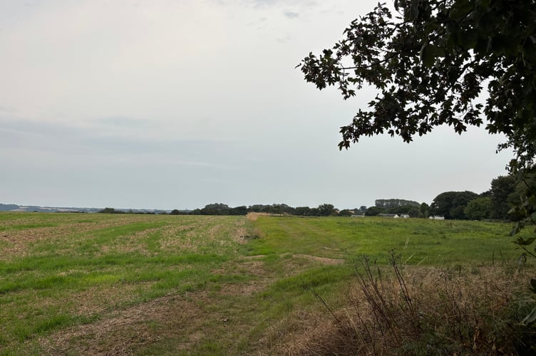The land owned by Lord Falmouth.jpg