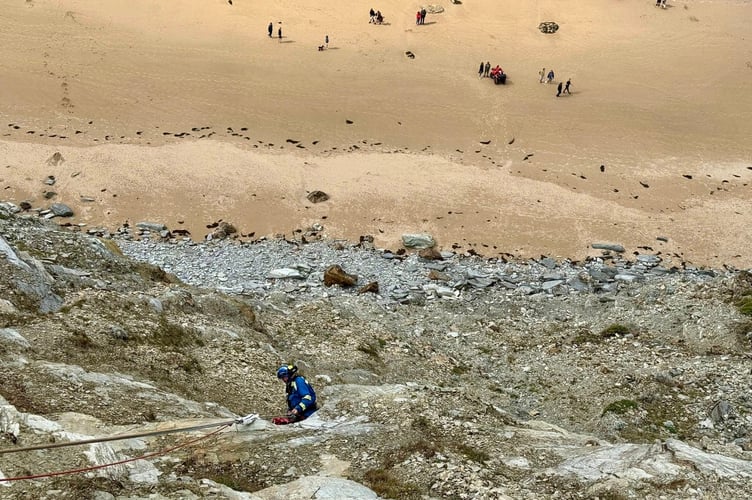 The dog was brought down safely to the bottom of the cliff (Picture: Newquay Coastguard Search and Rescue Team)