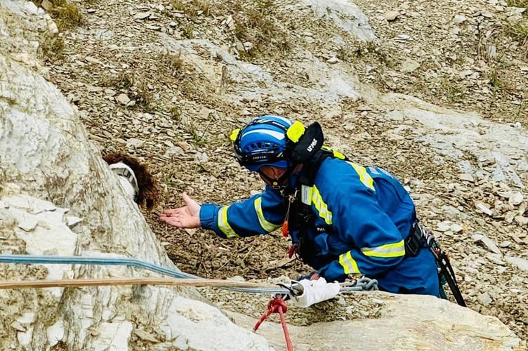 The dog was uninjured (Picture: Newquay Coastguard Search and Rescue team)