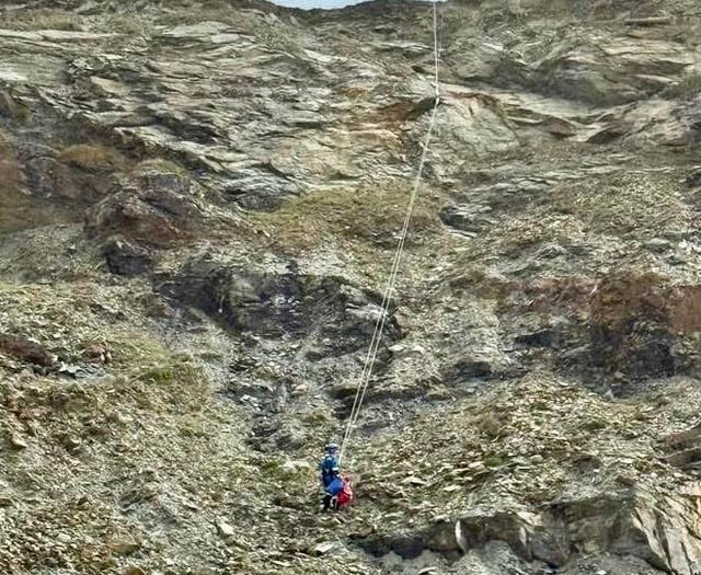 Coastguard rescue dog stuck on cliffs