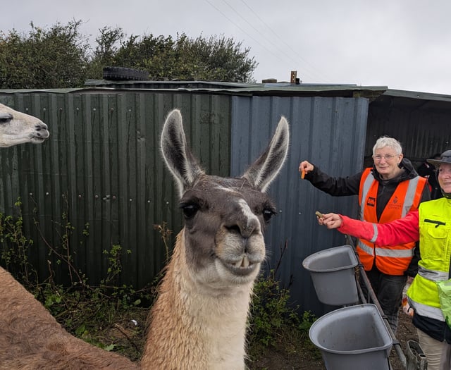 Fundraisers limber up to raise money for charity