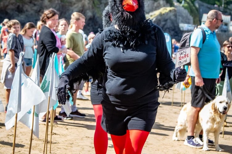 Various shows and performances were held during the Look Out Festival (Picture: Emma Macdonald)