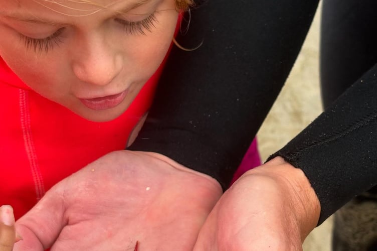 Participants learned to identify sea creatures (Picture: RAF St Mawgan)