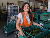 Turn your surplus courgettes into a tasty meal