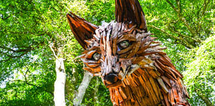 Impressive leaping fox sculpture unveiled at tourist attraction