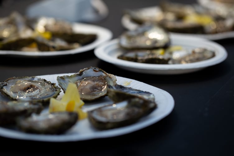 Oyster festival announces new series of live talks.