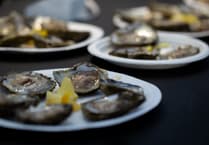 Oyster festival announces new series of live talks