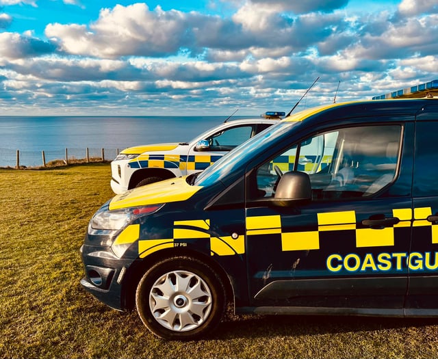 Emergency services scrambled to man on cliff edge