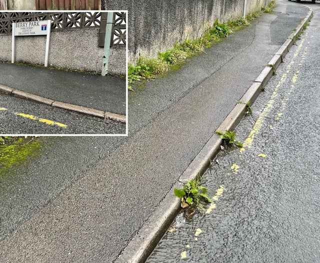 Councillor calls for emergency funds to repaint faded road markings