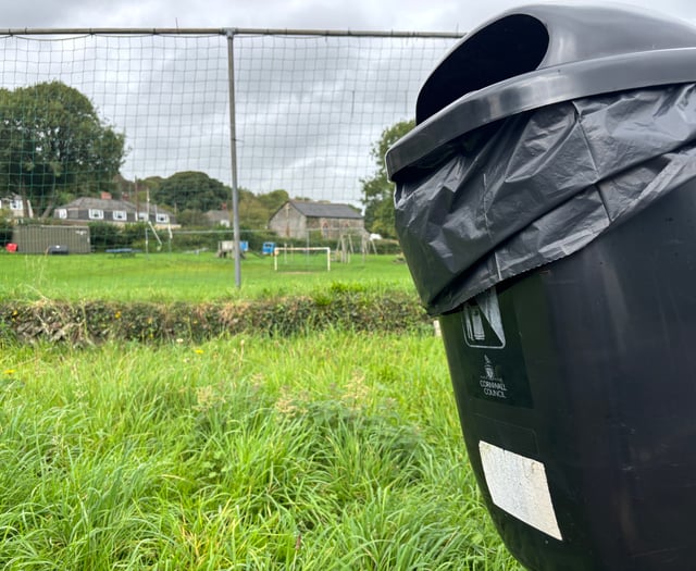 Council faces backlash over bin removals on housing estates