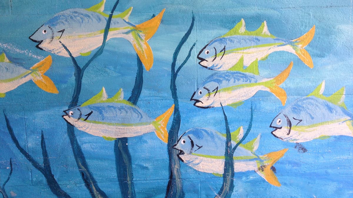 Cornwall Favourites: Callington Offers Mural Trail Around the Town ...