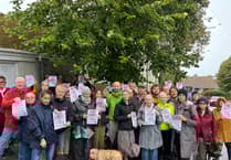 Councillor silenced in chamber over infamous Falmouth trees