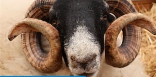 Police warn of ‘Ram Raiders’ after spate of livestock thefts