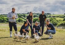 Bakery firm started in Cornwall expands order to more than half-a-million eggs a year