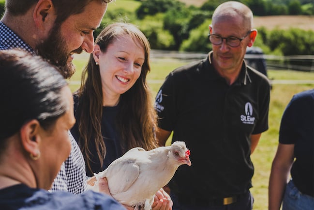 St Ewe believes that the welfare of the hens is paramount.