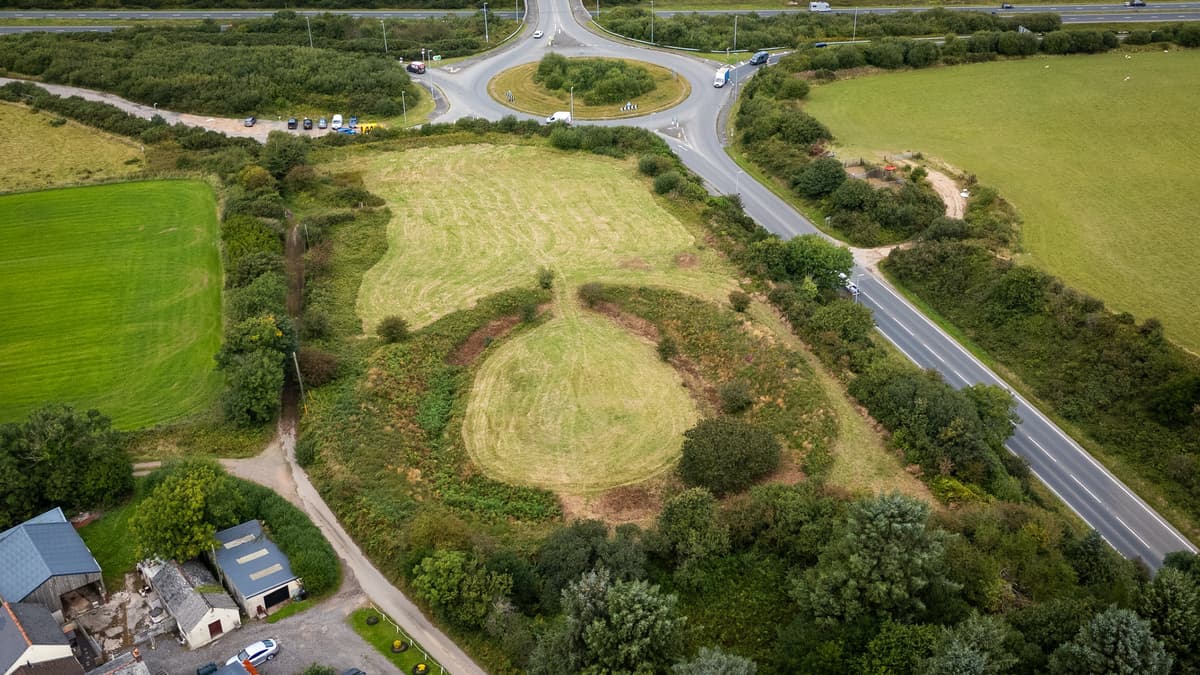 Ancient Stone Circle in Cornwall at Risk From Invasive Plants and R...