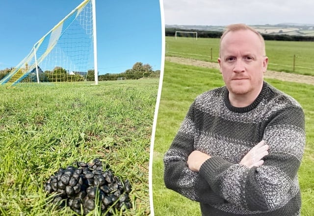 Sheep invasion delays club’s long-awaited first competitive game