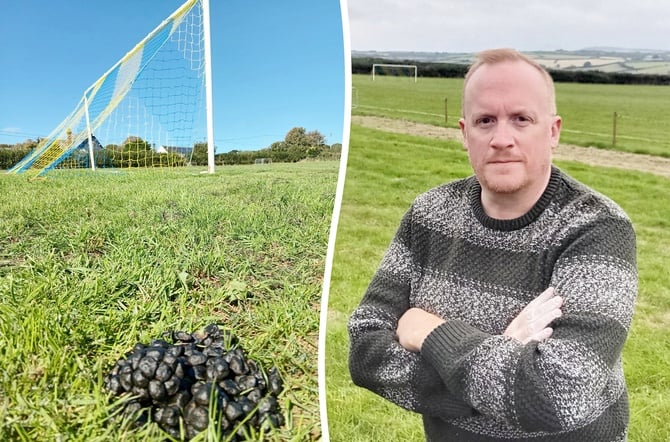 St Neot AFC chairman Matt Thornhill arrived to make final checks and was met with a a field full of sheep happily grazing on the turf