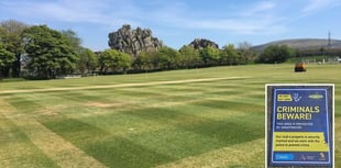 Cricket clubs offered forensic kits after spate of burglaries