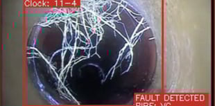 SWW explores power of AI to help tackle challenges