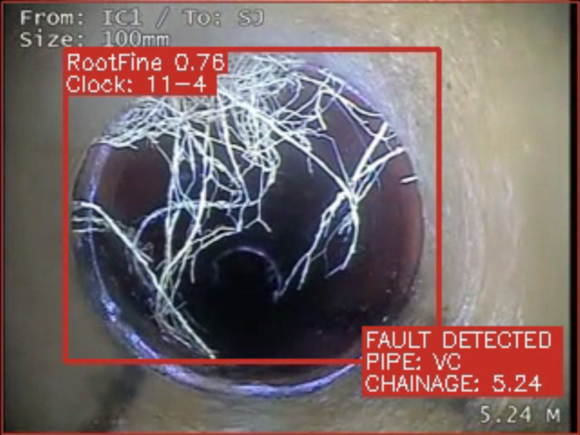 Roots in pipe (Picture: South West Water)