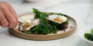 Falmouth Oyster Festival 2025: Celebrating traditions 
