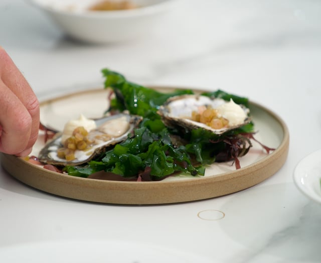 Celebrating traditions at Falmouth Oyster Festival