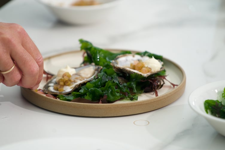 Native Fal oysters