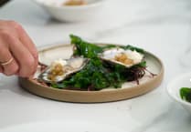 Falmouth Oyster Festival 2025: Celebrating traditions