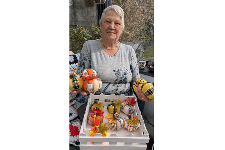 Susan with her Halloween pumpkin decorations (Picture: Warren Wilkins)