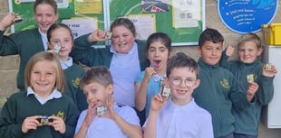 Fundraising drive launched to feed much-loved farm animals