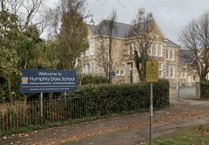 Festival promises to be a fun and informative day out for local community