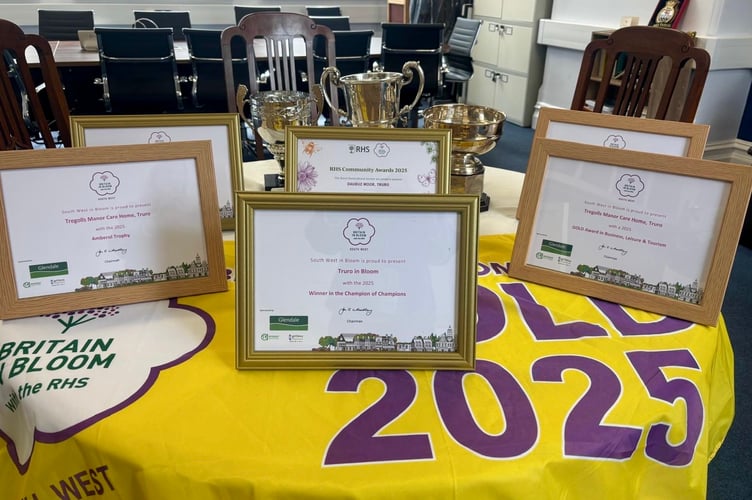 Truro wins a clutch of awards at South West in Bloom 2025 