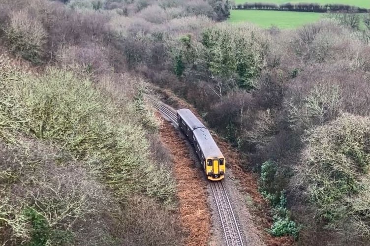 Village stations on the Mid Cornwall Metro route will get a less regular service (Pic: Network Rail / Mid Cornwall Metro)