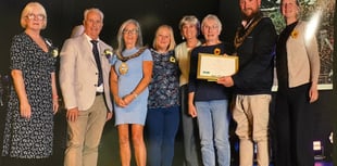 Town wins record gold award