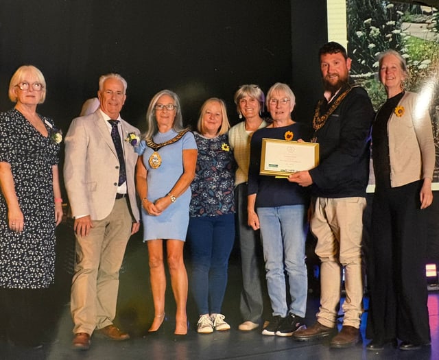 Town wins record gold award