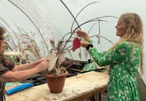 New project uses nature to boost mental health