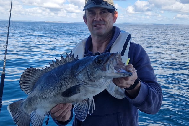 Angler lands “prehistoric” deep-sea wreckfish that is rarely seen